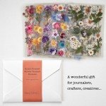 Pressed Flower Resin Stickers - 486 Assorted Pieces