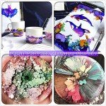 Vibrant 48-Color Alcohol Ink Set for Resin