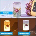 Cylinder Light Resin Mold Set with Base Stand