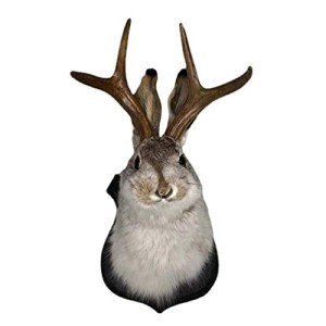 Rabbit Antlers Resin Wall Art for Home Decor