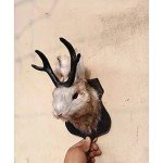Rabbit Antlers Resin Wall Art for Home Decor