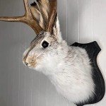 Rabbit Antlers Resin Wall Art for Home Decor