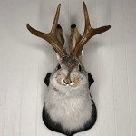 Rabbit Antlers Resin Wall Art for Home Decor