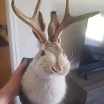 Rabbit Antlers Resin Wall Art for Home Decor