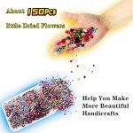 Beginner's UV Resin Art Kit with Glitter & Flowers