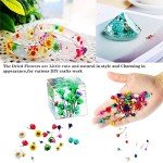 Beginner's UV Resin Art Kit with Glitter & Flowers