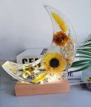 Moon Light Resin Mold with Wooden Base Lamp
