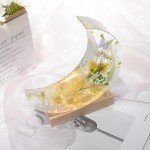 Moon Light Resin Mold with Wooden Base Lamp
