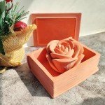 Book Shape Resin Box Mold with Lid