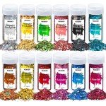 Holographic Chunky Glitter Set - 12 Vibrant Colors