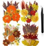 Bulk Dried Fall Flowers for Resin Crafting