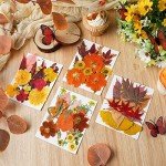 Bulk Dried Fall Flowers for Resin Crafting