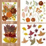 Bulk Dried Fall Flowers for Resin Crafting