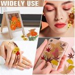 Bulk Dried Fall Flowers for Resin Crafting