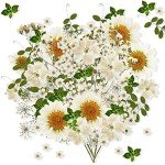 81 Pieces Pressed White Dried Flowers for Resin