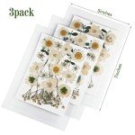 81 Pieces Pressed White Dried Flowers for Resin