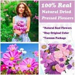 92 Pcs Purple Dried Flowers for Resin Crafts