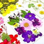 92 Pcs Purple Dried Flowers for Resin Crafts