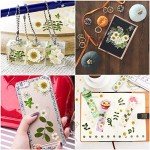 81 Pieces Pressed White Dried Flowers for Resin