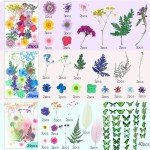 210 Pcs Dried Pressed Flowers for Resin Crafts