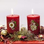 81 Pieces Pressed White Dried Flowers for Resin