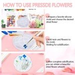 210 Pcs Dried Pressed Flowers for Resin Crafts