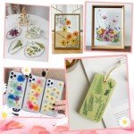 210 Pcs Dried Pressed Flowers for Resin Crafts