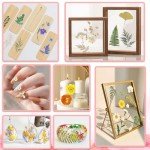 210 Pcs Dried Pressed Flowers for Resin Crafts