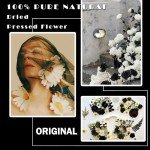 90 Pcs Black Dried Flowers for Resin Art