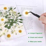 White Dried Pressed Flowers for Resin Art