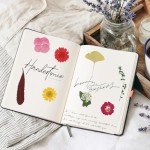 210 Pcs Dried Pressed Flowers for Resin Crafts