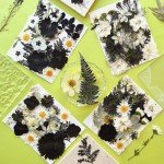 90 Pcs Black Dried Flowers for Resin Art