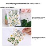 White Dried Pressed Flowers for Resin Art