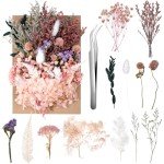 Dried Flowers Mix for Resin and Crafts