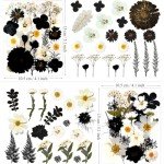 90 Pcs Black Dried Flowers for Resin Art