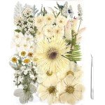 A4 Dried Pressed Flowers for Resin Art