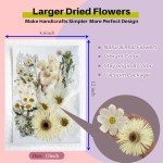 A4 Dried Pressed Flowers for Resin Art