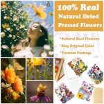 99Pcs Dried Flowers & Butterflies for Resin Art