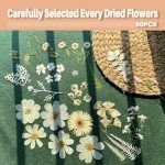 A4 Dried Pressed Flowers for Resin Art