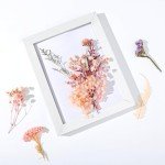 Dried Flowers Mix for Resin and Crafts