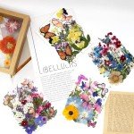 99Pcs Dried Flowers & Butterflies for Resin Art