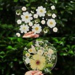 A4 Dried Pressed Flowers for Resin Art