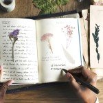 Dried Flowers Mix for Resin and Crafts