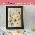 A4 Dried Pressed Flowers for Resin Art