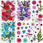 100Pcs Dried Pressed Flowers for Resin Art
