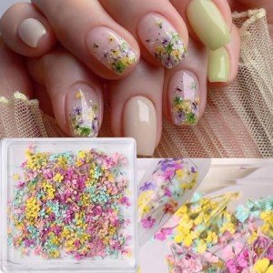 Colorful Dried Flowers for Resin Nail Art