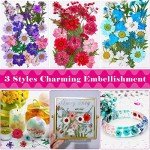 100Pcs Dried Pressed Flowers for Resin Art