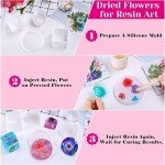 100Pcs Dried Pressed Flowers for Resin Art