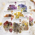Pressed Flower Resin Stickers Set - 320 Pieces