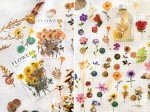Pressed Flower Resin Stickers Set - 320 Pieces